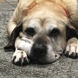 Meet your Posher, Kelly